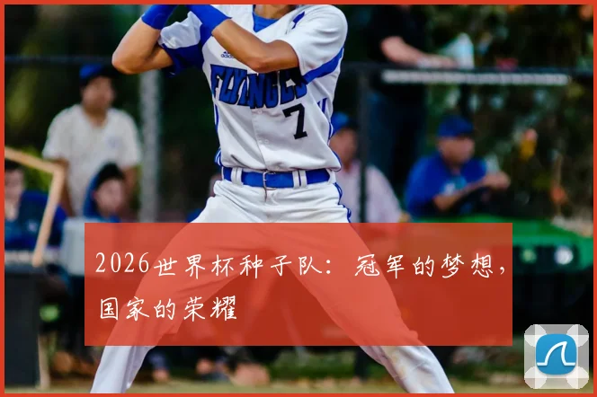 2026世界杯种子队：冠军的梦想，国家的荣耀