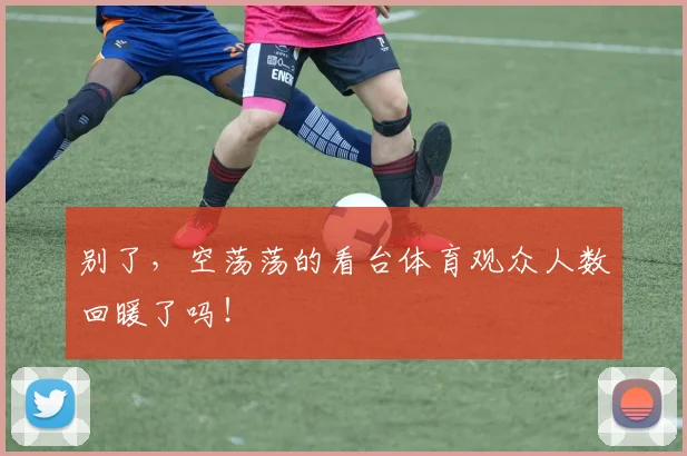 别了,空荡荡的看台体育观众人数回暖了吗!