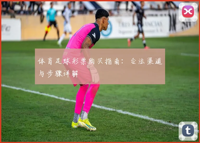 体育足球彩票购买指南：合法渠道与步骤详解